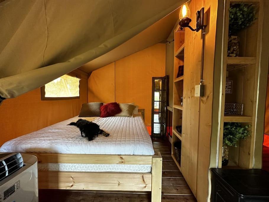 12 Fires Luxury Glamping With Heating #5 Johnson City Exterior foto